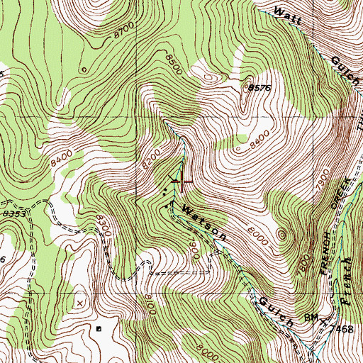 Topographic Map of Watson Gulch Mine, MT