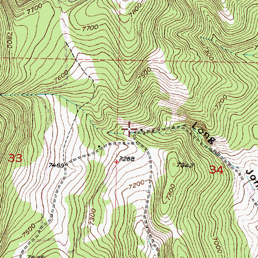 Topographic Map of Long John Gulch Mine, MT