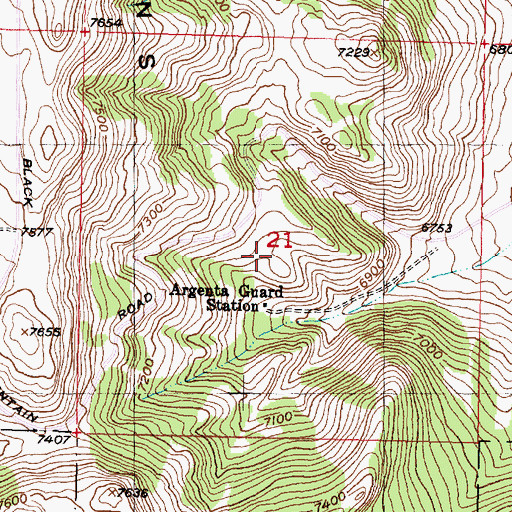 Topographic Map of SE Section 21 Mine, MT
