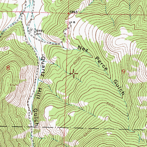 Topographic Map of NW SW Section 9 Mine, MT