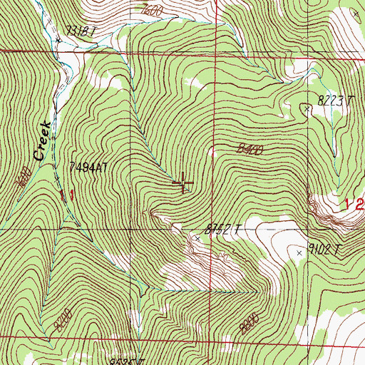Topographic Map of Lower Sweeney Mine, MT