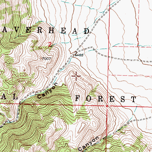 Topographic Map of Little Water Canyon Mine, MT