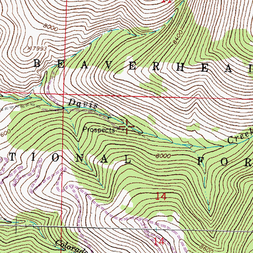 Topographic Map of Lucky Strike Mine, MT