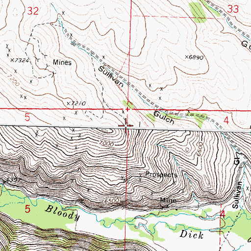 Topographic Map of NE NE Section 4 Mine, MT