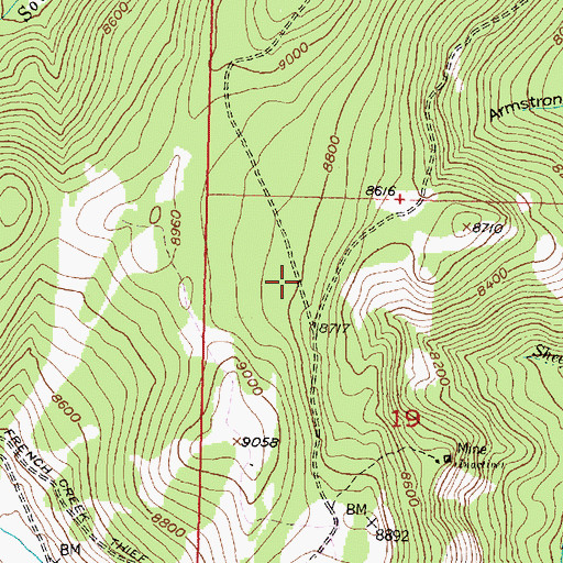 Topographic Map of US Treasurer Mine, MT