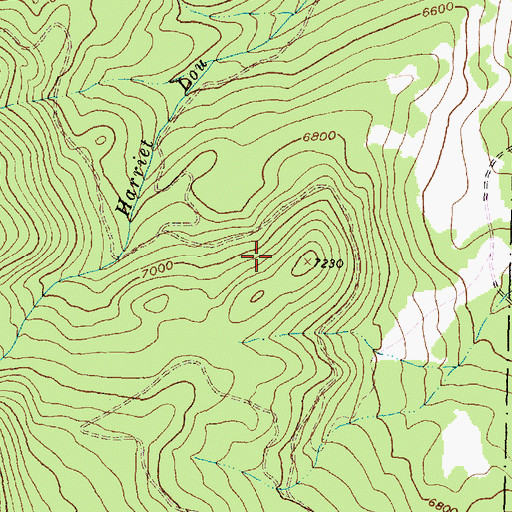 Topographic Map of Bryant Creek Mine, MT