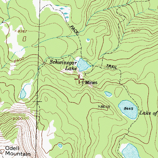 Topographic Map of Bearpaw Mine, MT