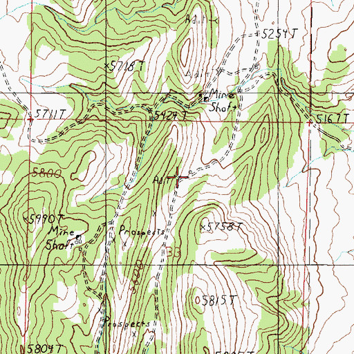 Topographic Map of San Anita Mine, MT