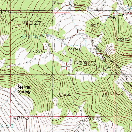 Topographic Map of Park/New Era Mine, MT