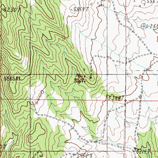 Topographic Map of SW SE Section 9 Mine, MT
