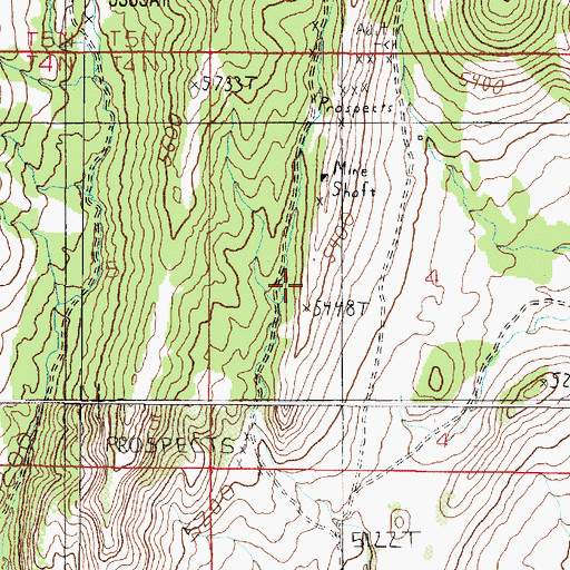 Topographic Map of NW SW Section 4 Mine, MT
