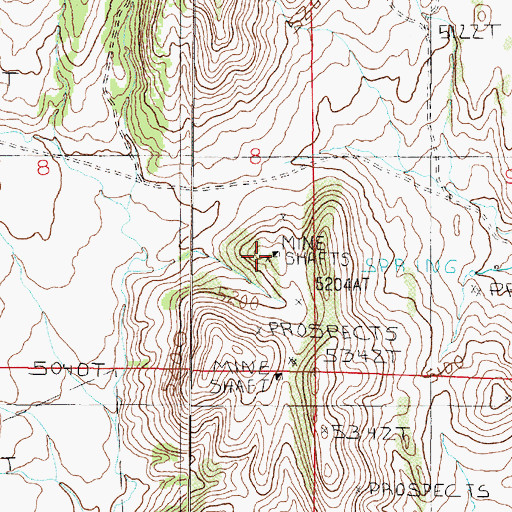 Topographic Map of NE SE Section 8 Mine, MT
