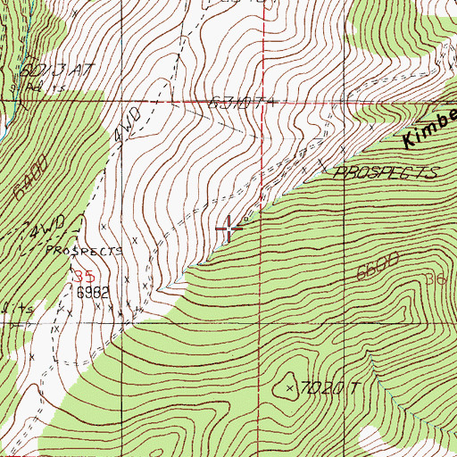 Topographic Map of Little Bonanza Mine, MT