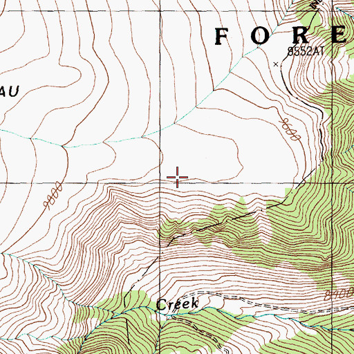 Topographic Map of Gallon Jug Mine, MT