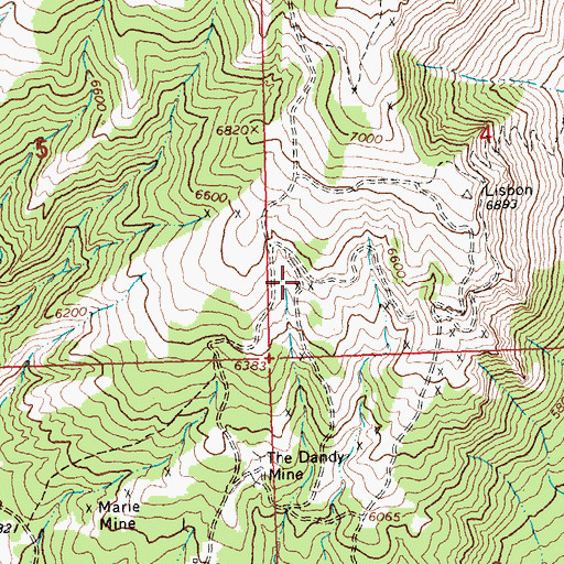 Topographic Map of SW SW Section 4 Mine, MT