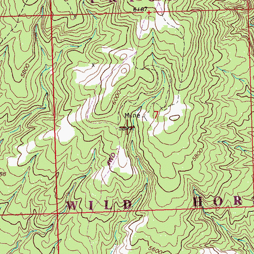 Topographic Map of Wild Horse Mine, MT