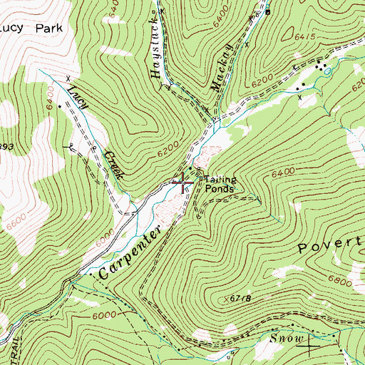 Topographic Map of Carpenter Creek Tailing, MT
