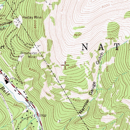 Topographic Map of Bull of the Woods Mine, MT