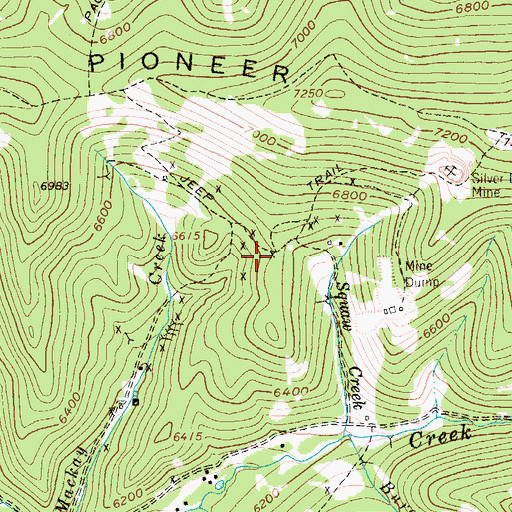 Topographic Map of Blotter Mine, MT