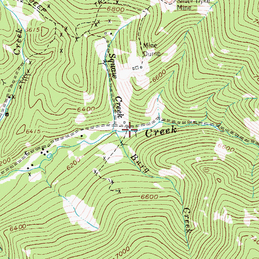 Topographic Map of Sherman Number 2 Mine, MT