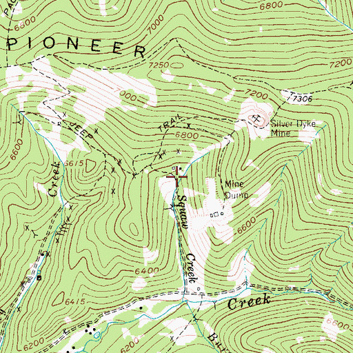 Topographic Map of Savage Mine, MT