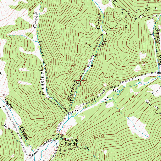 Topographic Map of Old Crow Mine, MT
