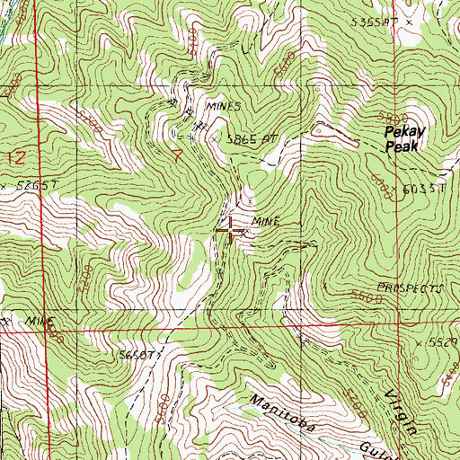 Topographic Map of Black Bull Mine, MT