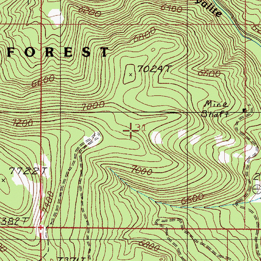 Topographic Map of Sunshine Mine, MT