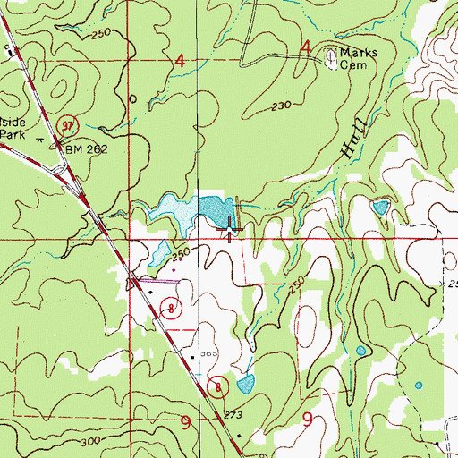 Topographic Map of Larson Lake Dam, AR