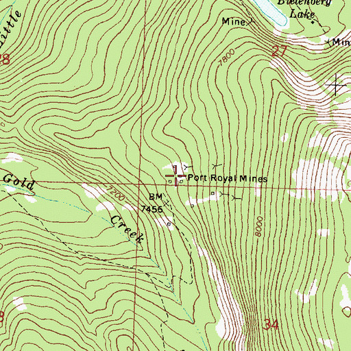 Topographic Map of Port Royal Mine, MT