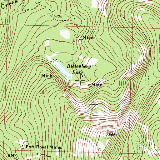 Topographic Map of Bluebird Mine, MT