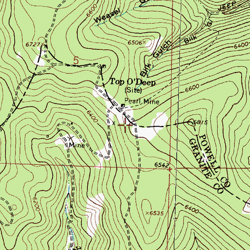 Topographic Map of Pearl Fraction Mine, MT