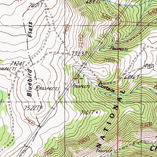 Topographic Map of Bluebird Mine, MT