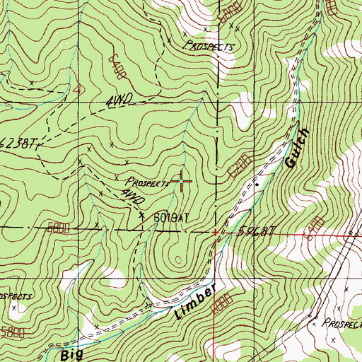 Topographic Map of California Mine, MT