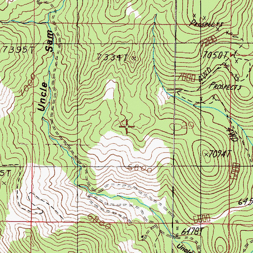 Topographic Map of SW SE Section 29 Mine, MT