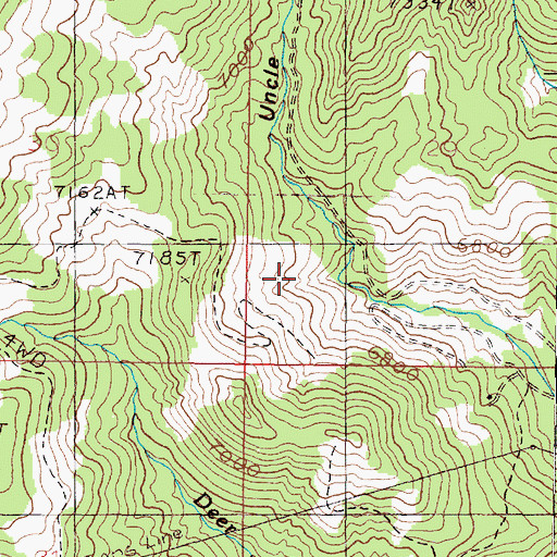 Topographic Map of NW SW Section 29 Mine, MT