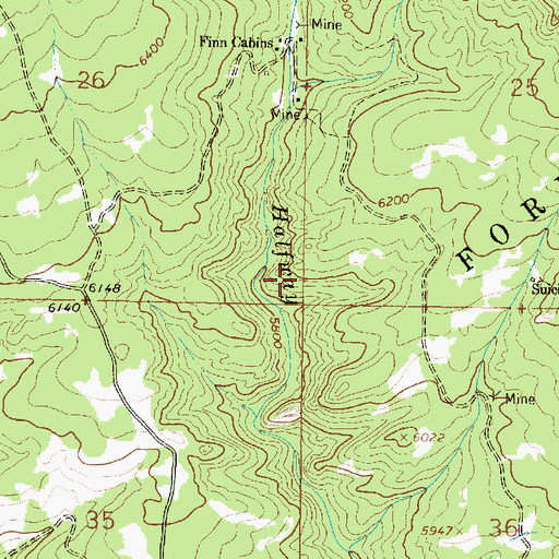Topographic Map of Finn Cabin Mine, MT