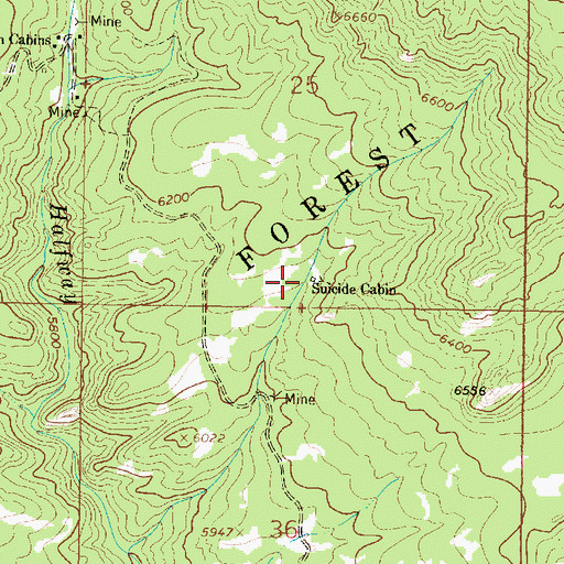 Topographic Map of Suicide Cabin Mine, MT