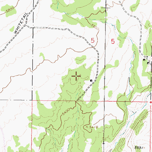 Topographic Map of SE SW Section 5 Mine, MT