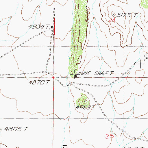 Topographic Map of SW SW Section 24 Mine, MT