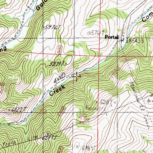Topographic Map of NE NE Section 29 Mine, MT