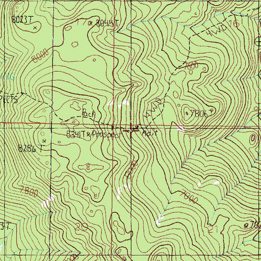 Topographic Map of NW NW Section 21 Mine, MT