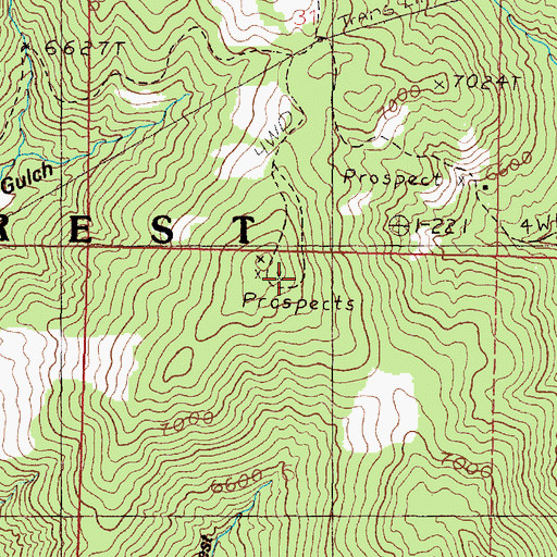 Topographic Map of Marguerite Mine, MT