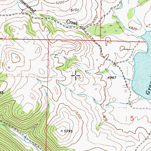 Topographic Map of SW SW Section 17 Mine, MT
