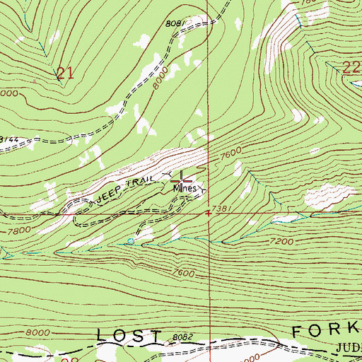 Topographic Map of SE SE Section 21 Mine, MT