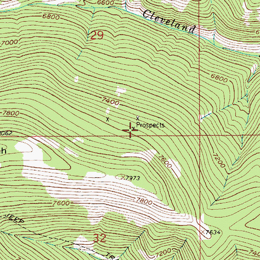 Topographic Map of SW SE Section 29 Mine, MT