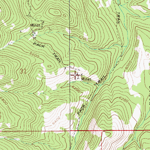 Topographic Map of NE SE Section 31 Mine, MT