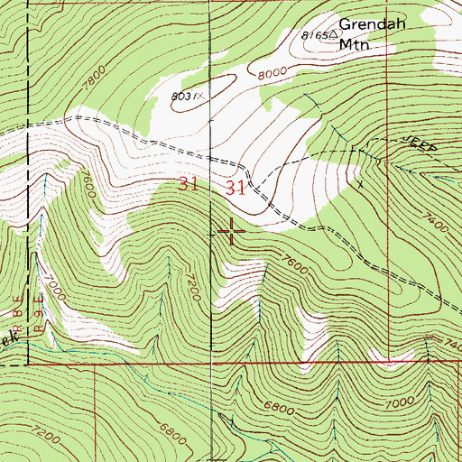 Topographic Map of Lenny Mine, MT