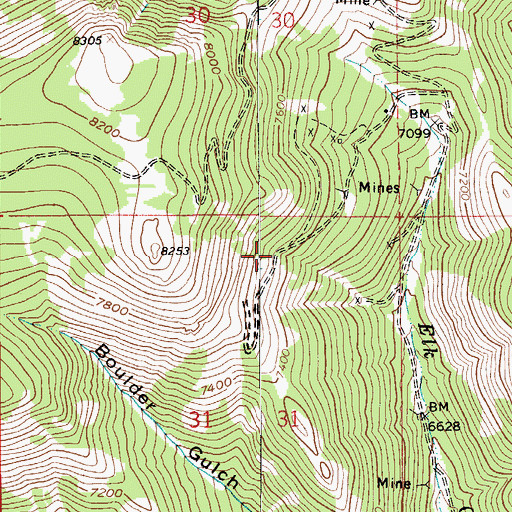 Topographic Map of NW NE Section 31 Mine, MT