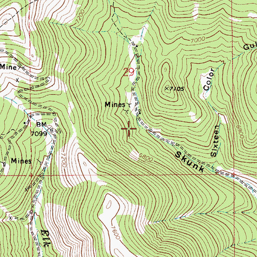 Topographic Map of SW SE Section 29 Mine, MT